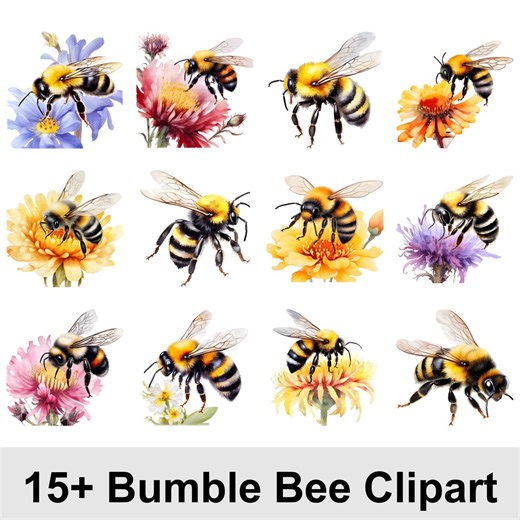 Bumble Bee Clipart Bundle 15+ PNG | Cute Bese Illustrations | Spring Garden Insect Graphics | Insect Honey Bee PNG Commercial Use - Etsy Australia