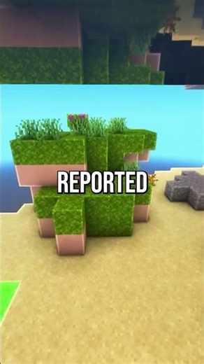 Neighbor Lost $40K Pool Over A Shed - Reddit Story