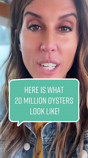 Dropping 20 million oysters onto a reef in New York City with the @Billion Oyster Project. #oyster #marineconservation #nyc
