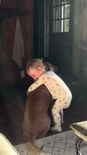 Toddler Gives Dog the Sweetest Hug