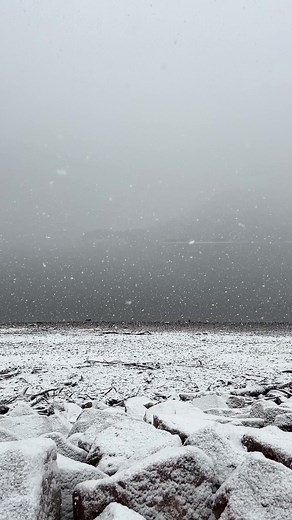 85K views · 7.3K reactions | Scottish Love ❤️. #scotland #visitscotland #edinburgh #glasgow #uk #ig #scottish #photography #nature #travel #highlands #scottishhighlands #lovescotland #greatshots #scotlandtravel #england #insta #love #scotlandphotography #landscape #thisisscotland #hiddenscotland #scotlandexplore #photooftheday #instascotland #whisky #london #dundee #scotlandshots #scotlandlover | My Highland Photography by Pat McElhinney | Facebook