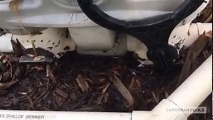 The easy way to adjust your chlorinator!