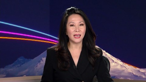 Barking Comeback: Sea Lions reflect resilience of Puget Sound ecosystem