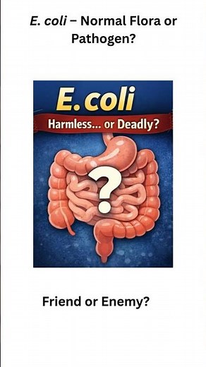 E. coli: The Double-Edged Sword of Gut Health #Microbiology #GutHealth