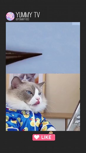 Puff fancy chocolate swan 🤣😂 | Yummy TV