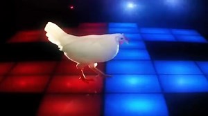 50K views · 1K reactions | Techno Chicken Song Remix (1 Hour) | Retro songs for everyone | Facebook