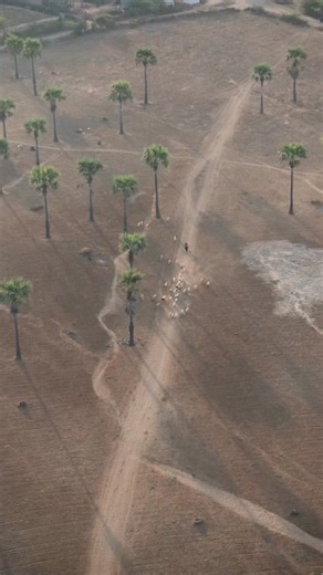 brilliantly simple masking in Lightroom . #Photographer #LearnPhotography #BeginnerPhotographer #PhotographyTips #Photo #Camera #PhotographyLovers #photgraphy #lightroom #lighting #foto #fotografia #travelphotography