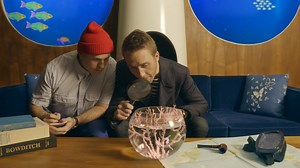 10K views · 127 reactions | In our next installment of Philippe Cousteau's undersea adventure, we learn about the ocean's masters of disguise: seahorses. Remember, you can join Philippe and his fellow submariners as they return to explore the mysteries of the deep in season 2 of the Aquatic World. The adventure continues October 20… | Great Big Story | Facebook