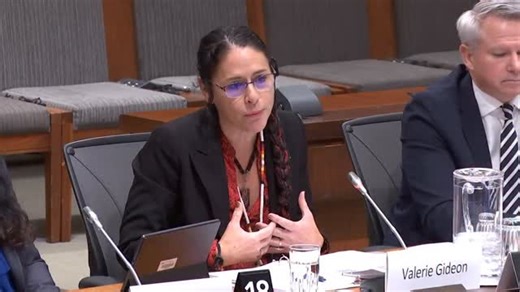 29K views · 1.6K reactions |  INSANITY! 132 Government-owned Indigenous art pieces have vanished from their collection – and only 12 have been found. The government shrugs it off since the missing works are “only worth $49,000.” No big deal, right? Canadians deserve better than this. Indigenous artists deserve better than this. I’ll continue to press for answers. | Rachael Thomas | Facebook