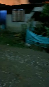 Ricardo Bar on Reels