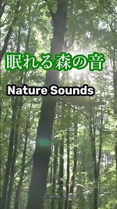 🌿 Summer Nature Sounds | Birds & Insects | Relaxing 30min Nature BGM