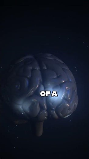 Reality Creation Explained | Consciousness Shapes the Universe