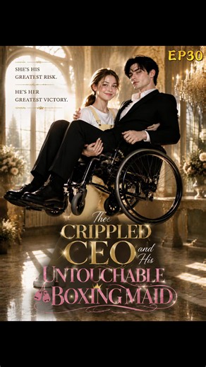 The Crippled CEO and His Untouchable Boxing Maid — Short Story Summary