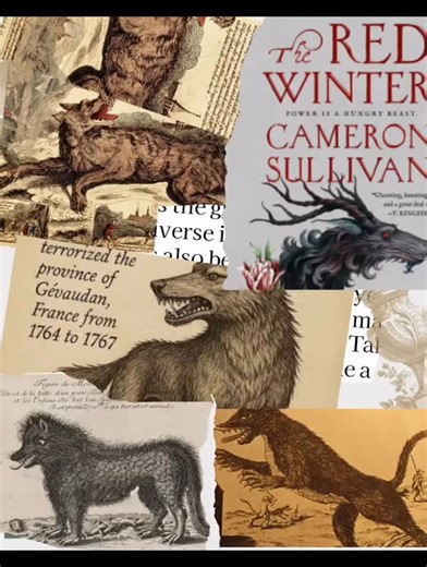 Bookish_onthecape on Instagram: "#fantasy #darkfantasy #darkromance #romantasy #netgalley The Red Winter ARC by Cameron Sullivan 4.5 ⭐️ The Red Winter is like Grimm’s fairytales written for adults. Dark fantasy, with themes of gay romance, written in a compelling and haunting story that any reader will not forget. The story, written as a memoir by the immortal Professor Sebastian Grave, is set in 1785 France, which is on the brink of revolution. Sebastian, a seasoned monster-slayer who previousl