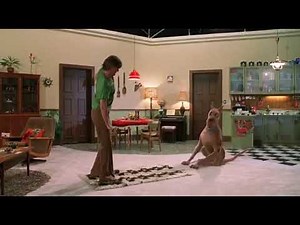 Shaggy And Scoob Burping And Farting - Scooby Doo Scene