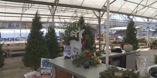 Greenleaf Landscapes offers tips for caring for a Christmas Tree
