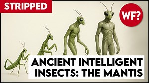 Meet Earth’s Hidden Mantis Overlords