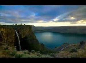 UNIDOS PARA LA MUSICA