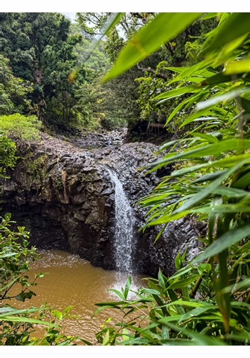 Exploring Waimoku Falls on the Pipiwai Trail
