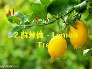 Best of the Mandarin Pops 80s & 90s - 2 华语回顾 vol 2