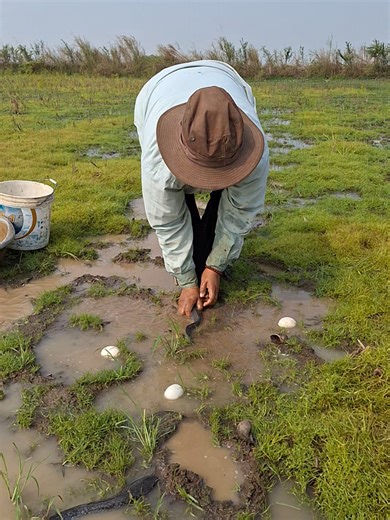 Fishing Techniques for Catching Catfish Effortlessly