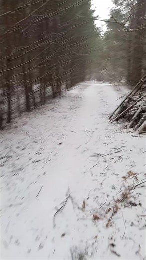 Відео користувача element_68 (@element_68) з композицією «оригінальний звук - 𝐋i𝐅𝐞 𝐢𝐧 𝐔𝐊𝐑𝐀𝐈𝐍i𝐀𝐍»