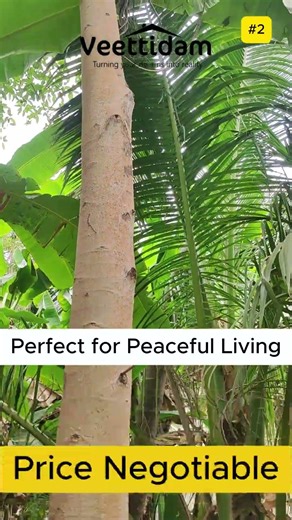 🌴 Farm House for Sale – Pallividai, No. 1 Tollgate, Trichy🌴