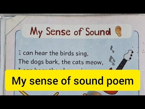 My Sense of Sound Poem Hindi Meaning||Oddle Rhyme Book