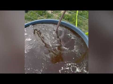 2025 blueberry planting recap