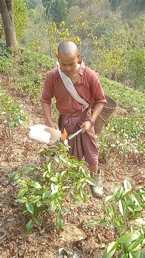 မူရင်းအသံ - mya thwin ပါဝင်သည့် mya thwin (@mya.thwin33) ၏ ဗီဒီယိုများ