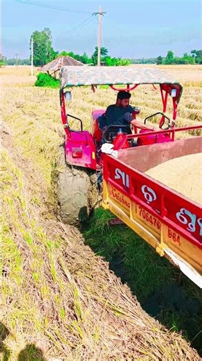 Mahindra Yuvo TECH+585DI 4x4 Power with rotar#youtubeshorts