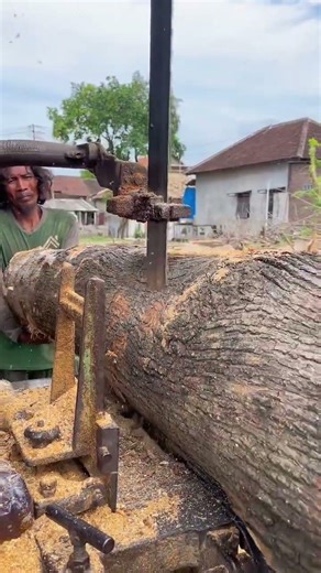 The gonrong operator is very skilled!! The skill of cutting wood with a super sharp saw machine