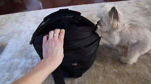 I'm ready to go! | Norbert