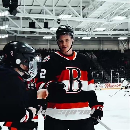 Belleville senators edit #ahl #hockey #americanhockeyleague #nhl