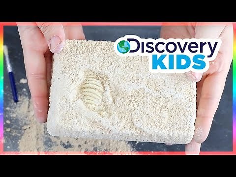 Discovery Kids Dinosaur Excavation Kit – Triceratops