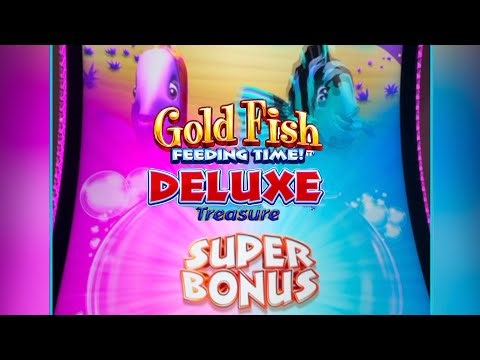 Gold Fish Feeding Time Deluxe Win! Slot machine bonus! #slot #slotscasinogames #gamblinggame #win