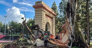 Crews keep busy cleaning up trees downed in the storm
