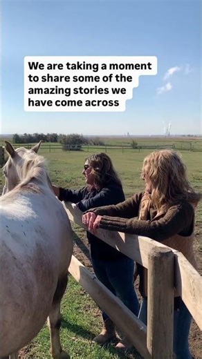 Get Certified With The Equine Connection - The Academy of Equine Assisted Learning