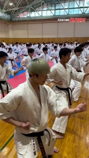 Massive Karate Drill: Liver and Spleen Shots!