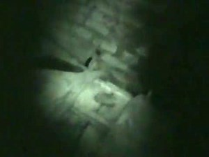 Amy Allan of the Dead Files at Mansfield Prison