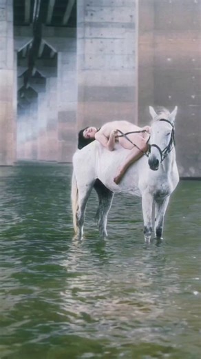 煎炸餃餃狗 (@DOGI_dogidogi) on X