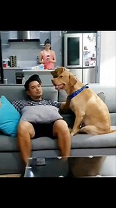 Man’s best friend ❤️❤️❤️ Kisses from Nugget 😘 | Gelli de Belen