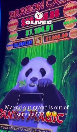 Have you ever seen anything like this? 👀 #pokies #australia
