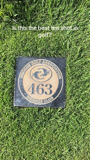 Is This the Best Tee Shot in Golf?