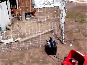 Electric Poultry Netting