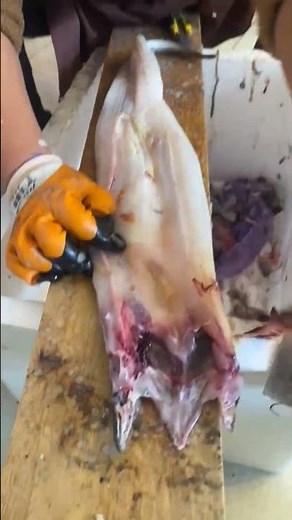 Eel meat preparation techniques