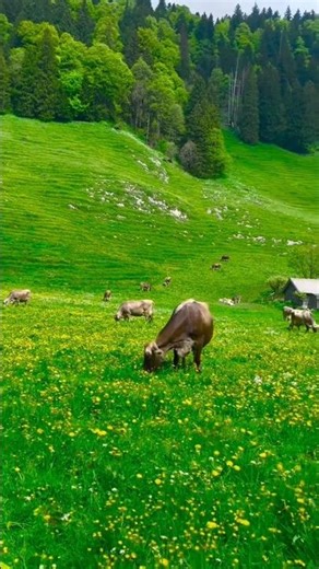 📍 Most Beautiful Places in the World 🌍 #travel #mountains #worldexplorer