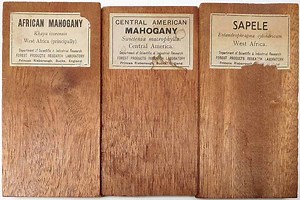 Mahogany Alternatives - In Search of Wood Substitutes - Woodworking Trade