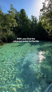 This water doesn’t even look real! 🤯 The turquoise waters of Weeki Wachee Springs are picture-perfect — and even better in person! 📸 Don’t just scroll, see it for yourself💦 🚣‍♀️ Book your clear kayak tour today and make memories that sparkle! | Get Up And Go Kayaking - Weeki Wachee
