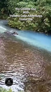 5.6K views · 16 reactions | Experience the breathtaking beauty of Rio...